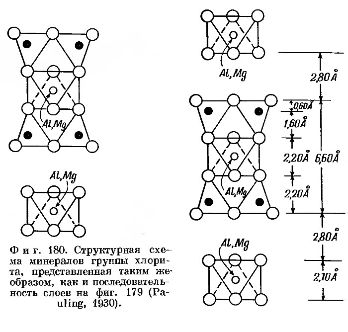 Фиг. 180. Структурная схема минералов группы хлорита