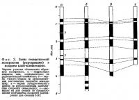 Фиг. 2. Зоны геомагнитной полярности в позднем плио-плейстоцене