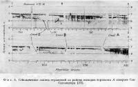Фиг. 8. Сейсмические записи отражений из района выходов горизонта