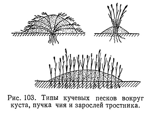 Рис. 103. Типы кучевых песков вокруг куста, пучкачия и зарослей тростника