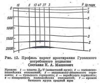 Рис. 12. Профиль вкрест простирания Гуселского погребенного поднятия