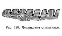 Рис. 128. Ледниковые стаканчики