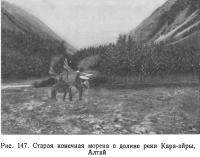 Рис. 147. Старая конечная морена в долине реки Кара-айры, Алтай