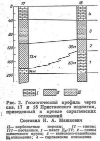 Рис. 2. Геологический профиль через скв. 17 и 18 Пристанского поднятия