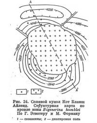 Рис. 24. Соляной купол Кот Бланш Айленд. Структурная карта по кровле зоны Bigenerina humblei