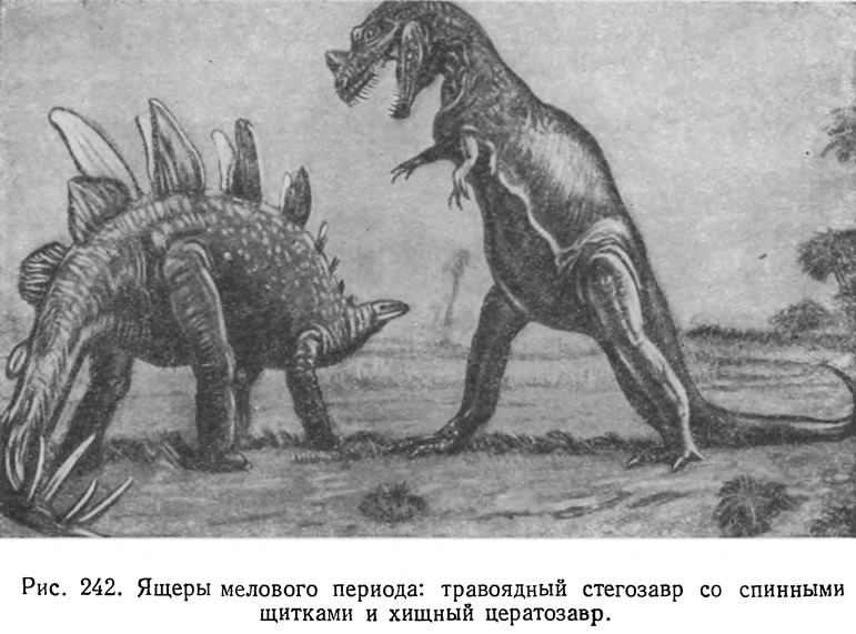 Рис. 242. Ящеры мелового периода: травоядный стегозавр и хищный цератозавр