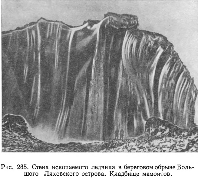 Рис. 265. Стена ископаемого ледника в береговом обрыве Большого Ляховского острова