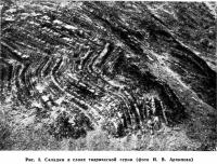 Рис. 3. Складки в слоях таврической серии