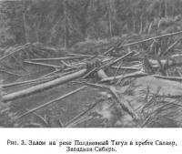 Рис. 3. Залом на реке Полдневный Тагул в хребте Салаир, Западная Сибирь