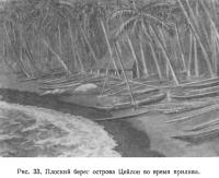 Рис. 33. Плоский берег острова Цейлон во время прилива