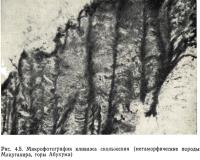 Рис. 4.5. Микрофотография кливажа скольжения