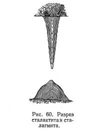 Рис. 60. Разрез сталактита и сталагмита