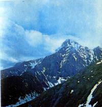 Сильно расчлененный рельеф, называемый альпийским