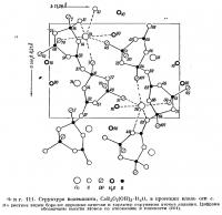Фиг. 111. Структура колеманита