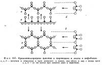 Фиг. 157. Кремнекислородные цепочки в пироксенах и ленты в амфиболах