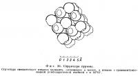 Фиг. 16. Структура сурьмы