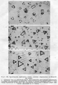 Фиг. 176. Ориентировка кристаллов иодида аммония, выращенных на поверхности слюды