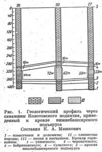 Рис. 1. Геологический профиль через скважины Колотовского поднятия