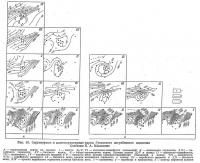 Рис. 10. Структурные и палеоструктурные карты Гуселского погребенного поднятия