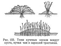 Рис. 103. Типы кучевых песков вокруг куста, пучкачия и зарослей тростника