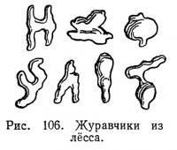 Рис. 106. Журавчики из лёсса