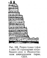 Рис. 168. Разрез толщи туфов и лаве 15 горизонтами погребенного леса