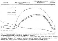 Рис. 2. Нефтегазовый потенциал органического вещества