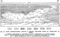 Рис. 22. Схема взаимоотношения слоистых и рифовых известняков титона на Караби-яйле