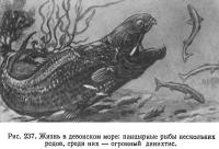 Рис. 237. Жизнь в девонском море: панцырные рыбы нескольких родов