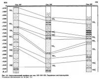 Рис. 2.5. Литологический профиль по скв. 103-104-105