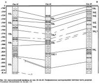 Рис. 2.6. Антологический профиль по скв. 42-44-45