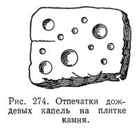 Рис. 274. Отпечатки дождевых капель на плитке камня