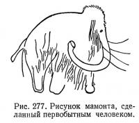 Рис. 277. Рисунок мамонта, сделанный первобытным человеком