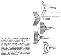 Рис. 2.VII.6. Развитие авлакогена и орогенной зоны из тройного сочленения