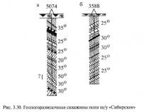 Рис. 3.30. Геологоразведочные скважины поля ш/у «Сибирское»