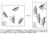 Рис. 4.11. Деформация спириферид и эллипс деформации