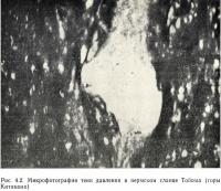 Рис. 4.2. Микрофотография тени давления в пермском сланце Топома