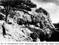 Рис. 44. Волноприбойный желоб карангатского моря на скале близ Нового Света