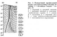 Рис. 5. Поперечный профильный разрез месторождения Сиазань