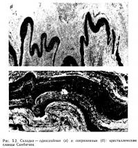 Рис. 5.2. Складки — однослойные и сопряженные