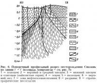 Рис. 6. Поперечный профильный разрез месторождения Сиазань по линии