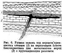 Рис. 6. Рудная залежь под экраном кремнистых сланцев