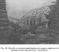 Рис. 82. Желоба и карнизы выветривания в красных песчаниках бассейна реки Джиты-Огуз