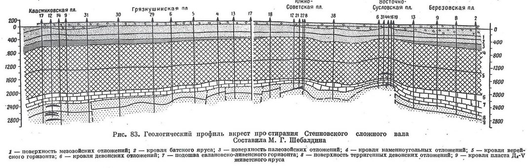 Рис. 83. Геологический профиль вкрест простирания Степновского сложного вала
