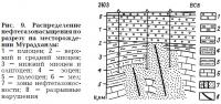 Рис. 9. Распределение нефтегазонасыщения по разрезу на месторождении Мурадханлы